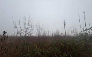 COMISION 0 | Teren intravilan | 17.700 mp | Zona Freidorf - Poză 2