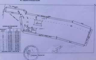 Casa curte cu teren 1600 mp Manolache - Poză 2