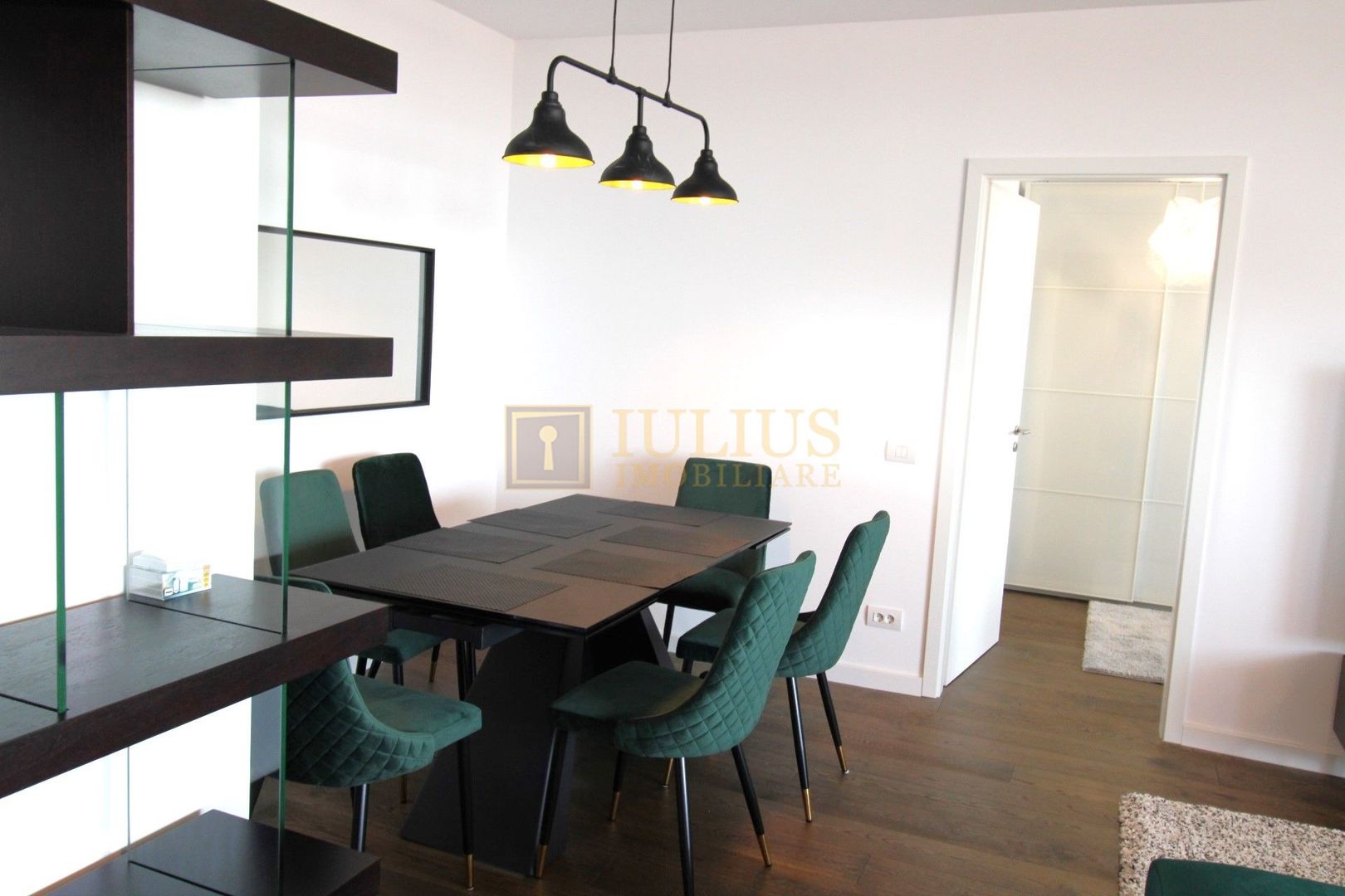 Penthouse de lux,  Take Ionescu(ISHO) - Poză 9