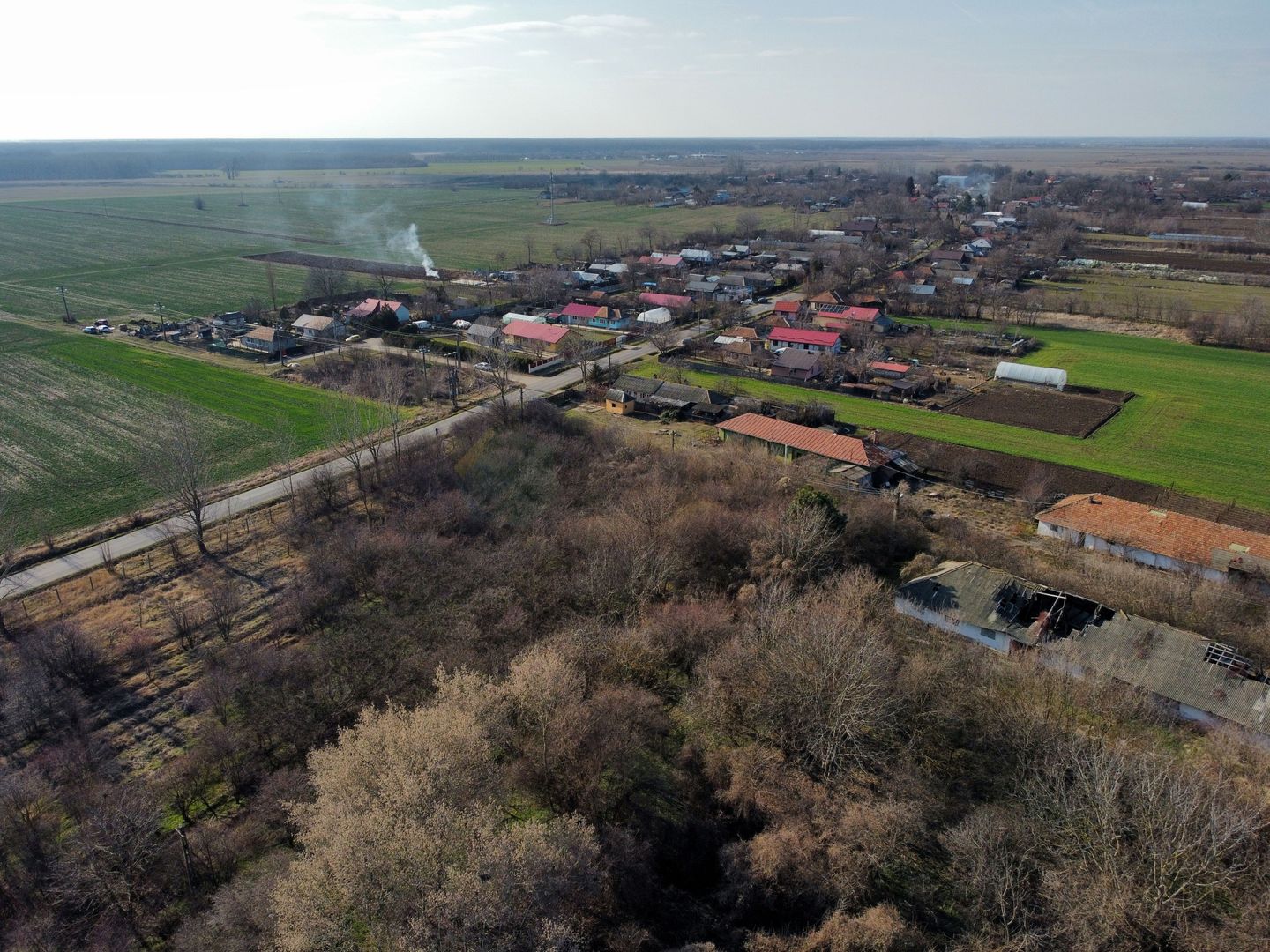 Ferma si livada de meri in judetul Ilfov - Poză 8