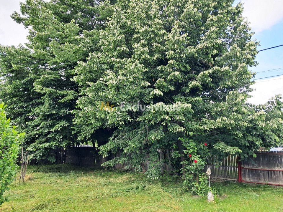 Casa cu teren la Polovragi - Poză 12