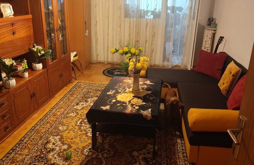 Apartament 3 camere zona Parc IOR - Camil Ressu - Poză 1