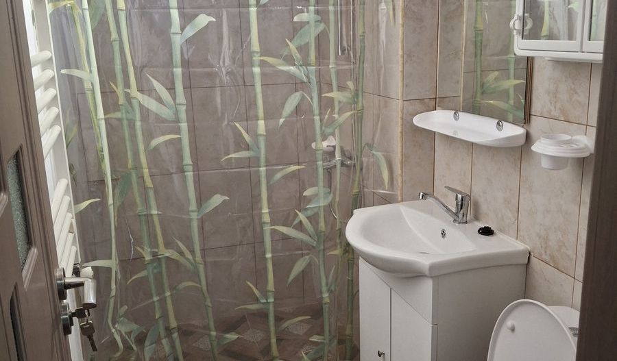 APARTAMENT CLASIC ZONA PRIMAVERII - Poză 6