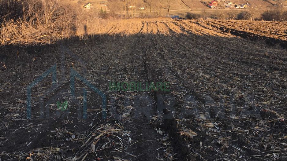 Teren 10.500 mp în Rediu Aldei, comuna Aroneanu – perspectivă intravilan - Poză 1