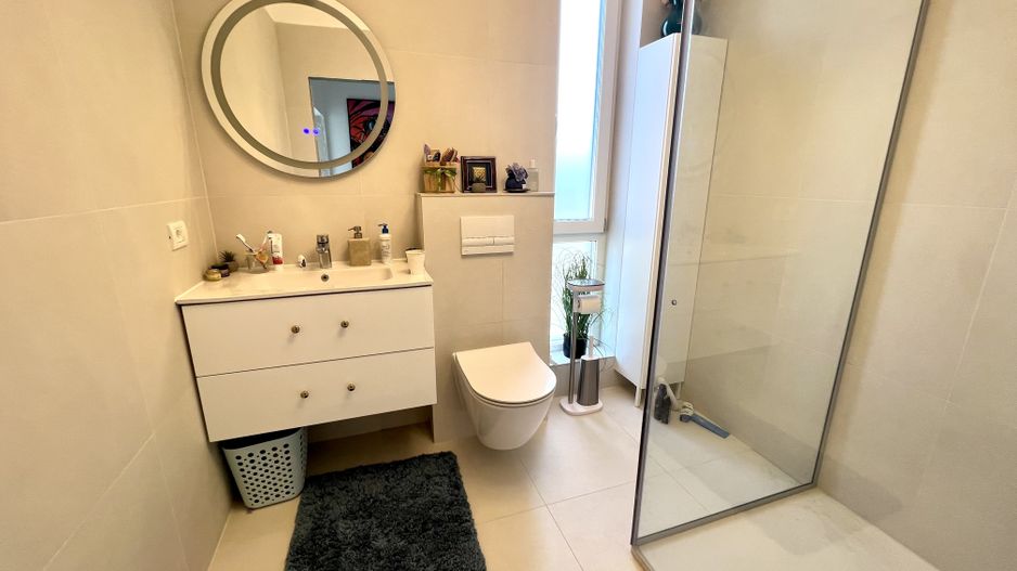 PROIECT DEOSEBIT - Poză 6