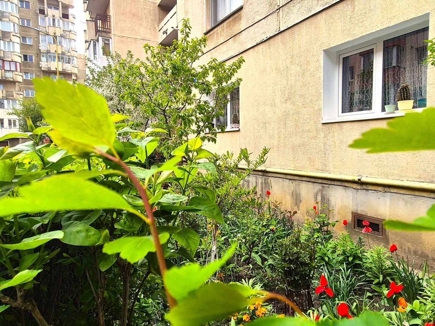 Garsonieră spațioasă, în bloc de apartamente, Zona Vlahuță - ITC,  PET friendly - Poză 1