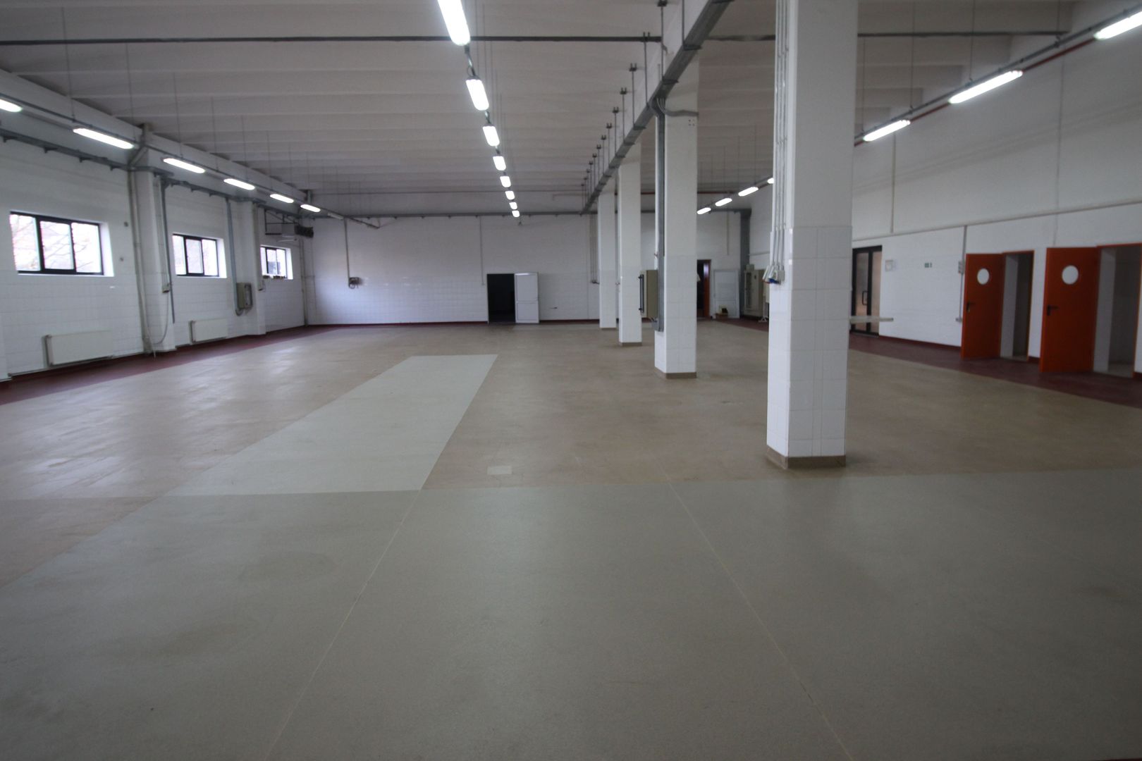 Hala productie    - Calea Torontalului de vanzare - Poză 3