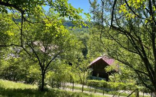 Teren intravilan 650- 669 mp de vânzare – Strada Dâmbului Bistrita - Poză 7