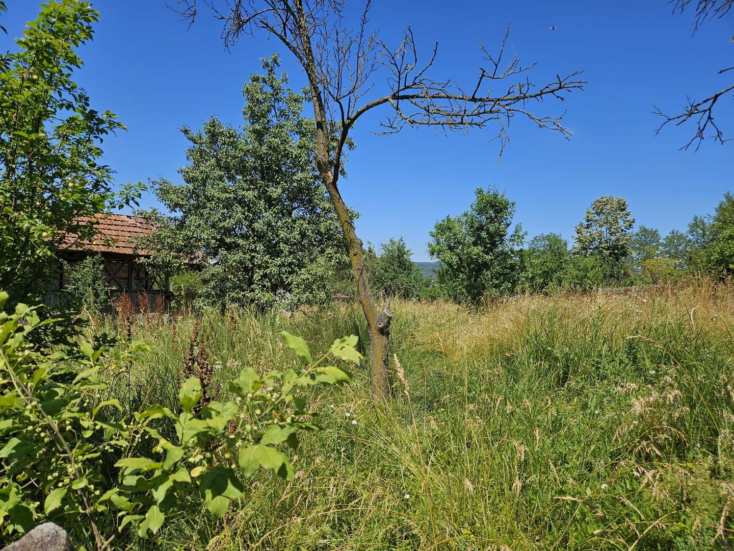 Vanzare teren intravilan, Zigoneni - Curtea de Arges - Poză 10