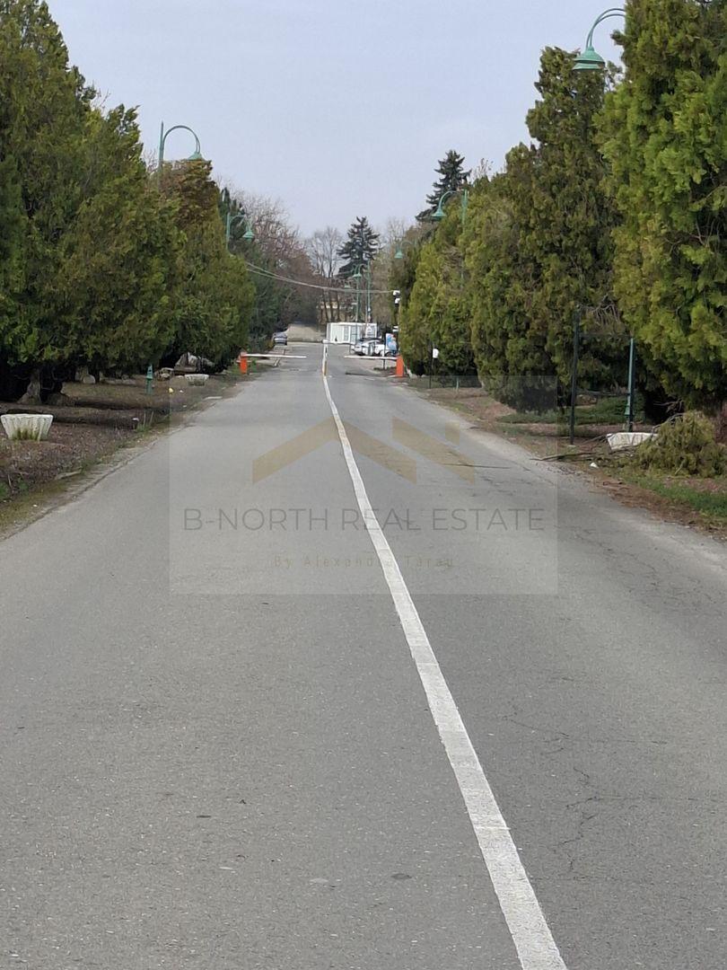 Spre Vanzare- Vila-1 Decembrie, Ilfov, cartier rezidential. - Poză 4