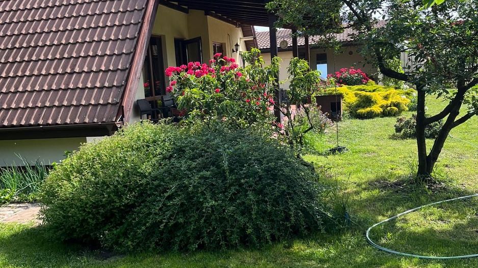 Casă elegantă, spațioasă, ideală pentru familie – Sanmihaiu Roman - Poză 32