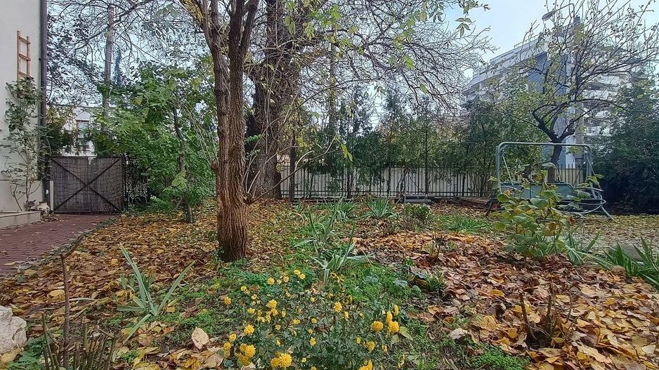 Vila centrala 5 camere | Calea Calarasi | Pretabil notariat/birouri/rezidential - Poză 2