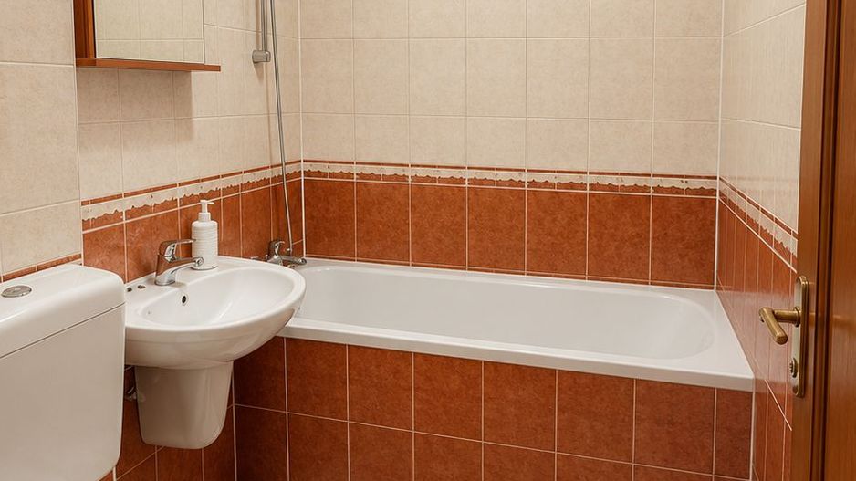 Apartament 2 camere Parcul Circului, parter, vedere spre parc - Poză 4