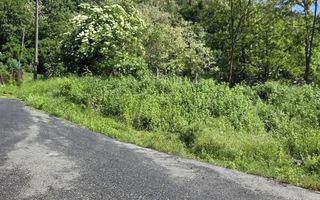 Teren 1036 MP | Budesti | La Strada Pincipala - Poză 7