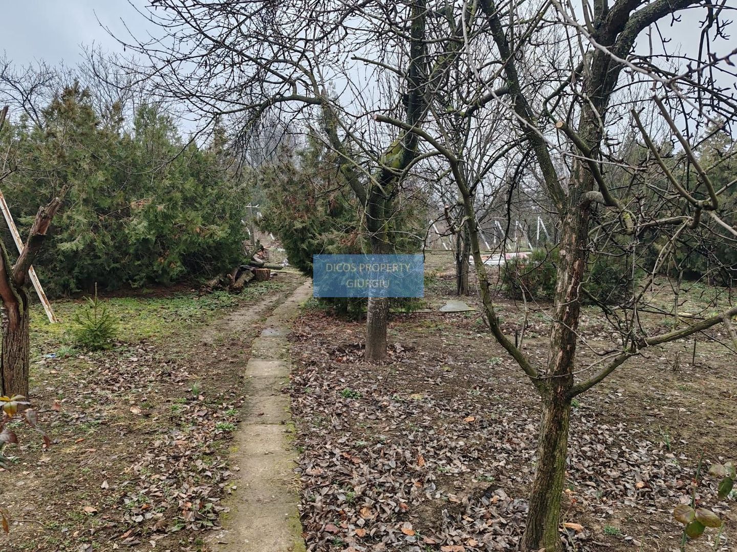 Teren 2.600 mp, utilități, Str. Merișor – Giurgiu - Poză 11