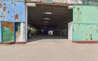Complex industrial cu hale și teren  în Orțișoara - Poză 6