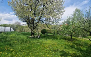 casa - 1500 mp de teren - zona rezidențială schit - Poză 11