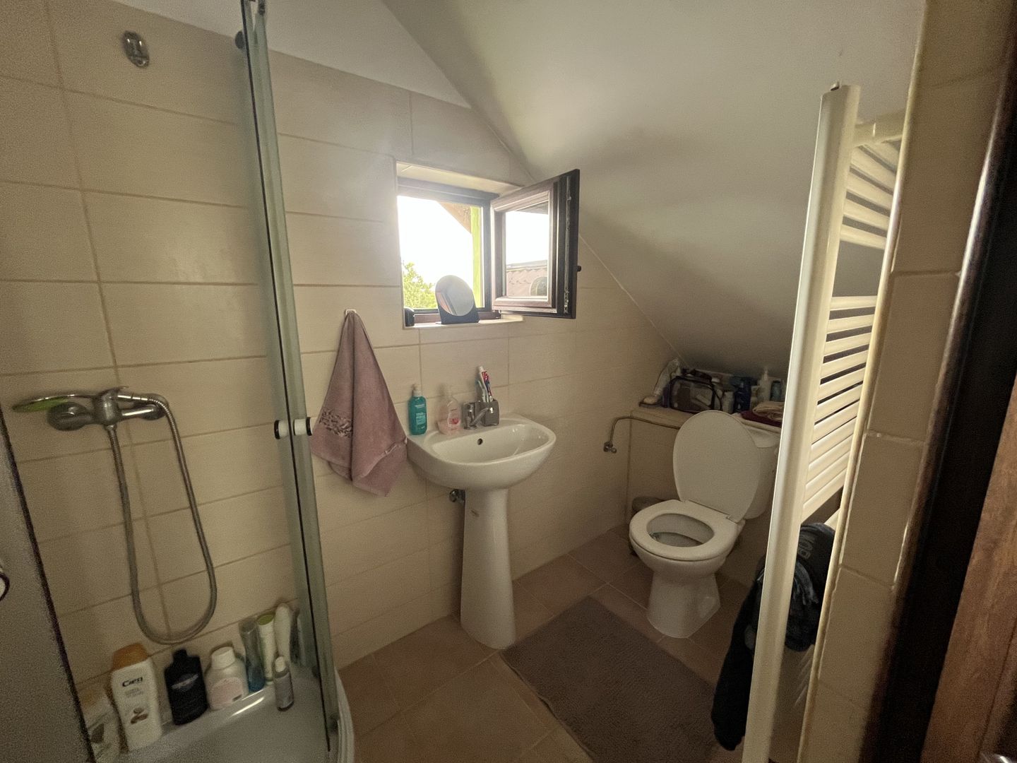 Casa Individuala Becicherecu Mic P+M,3 Camere,2 Bai,Teren 3400 mp,F.s 35m - Poză 13