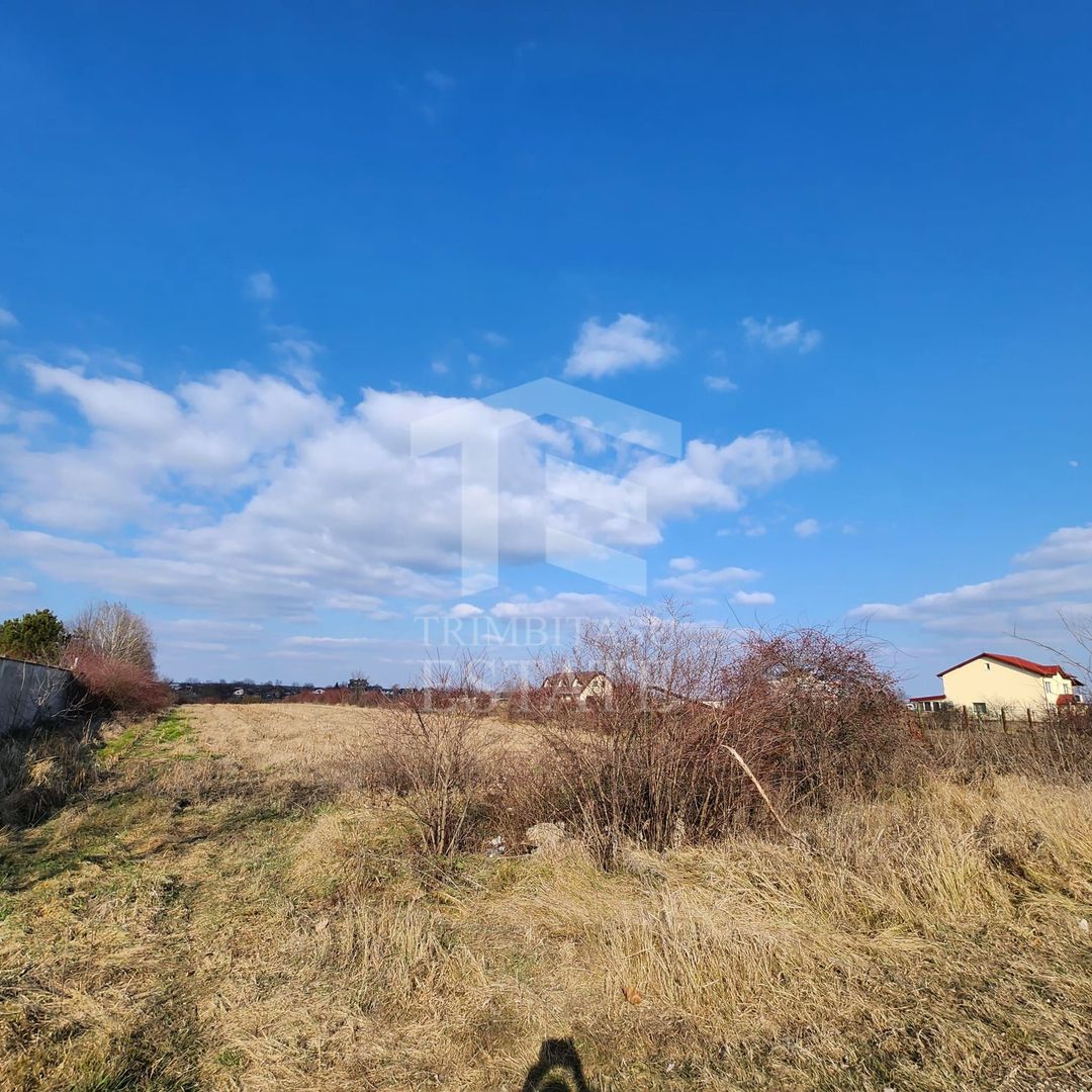 Teren cu deschidere lac Snagov Vladiceasca - Poză 8