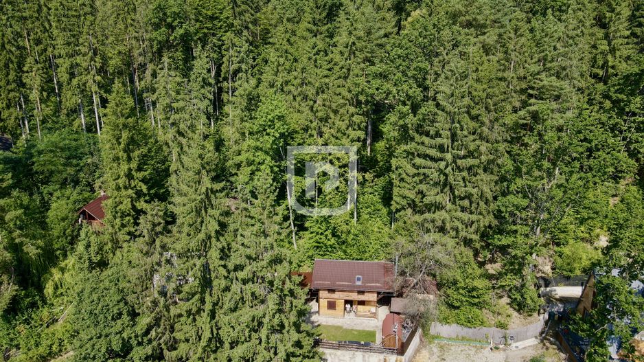 🏡 Casă/Cabană pe malul Lacului Bicaz,  ciubăr&saună - Poză 2