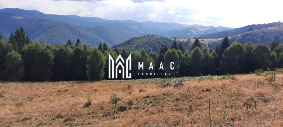 Teren Extravilan | 19.593 MP | Zona Saliste - Poză 2