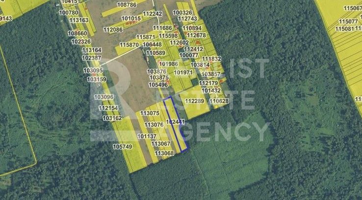 Teren extravilan de vânzare – 7777 mp,  Snagov (Ilfov) - Poză 1