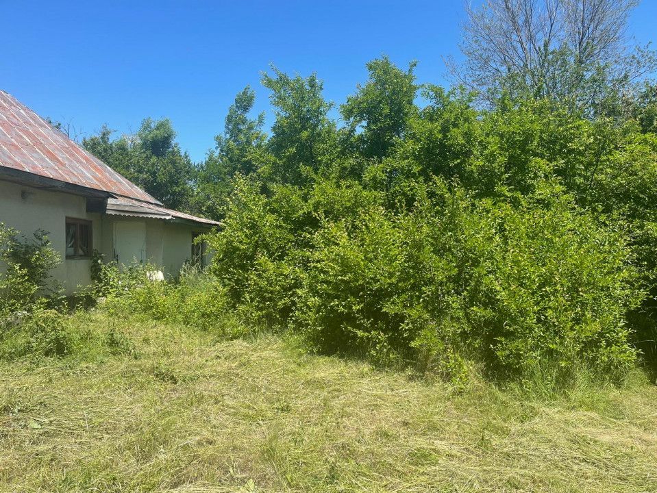 De Vanzare Gospodarie Cerbu - Poză 6