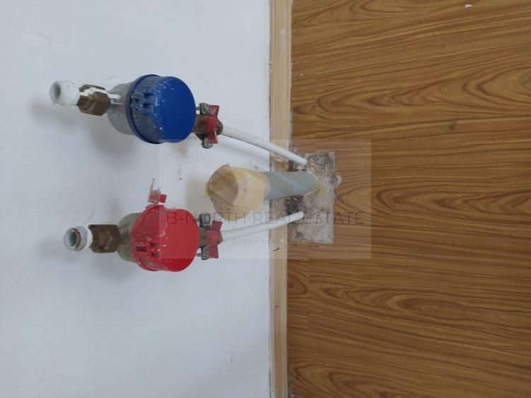 Apartament parter 5 camere, central – Piața Crângași, vad comercial - Poză 10