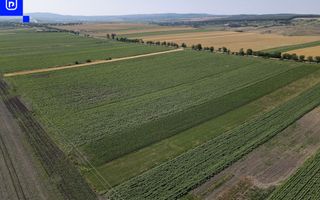 Teren - Orășeni Deal, Curtești | BOTOȘANI | 10.000mp - Poză 2