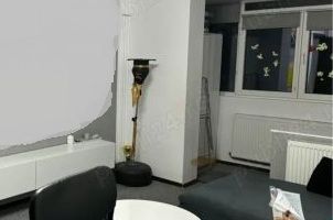 Apartament 2 camere, zona Brancoveanu. Spitalul de Copii Marie Curie (Budimex) - Poză 2