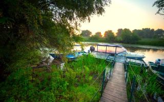 Oportunitate de investitie| Delta Dunarii |Mila 23| pensiune activa - Poză 6