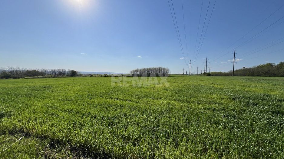 Teren agricol de 24 ari în Ghidighici – aproape de pădure, potrivit pentru investiție sau activitate agricolă - Poză 4