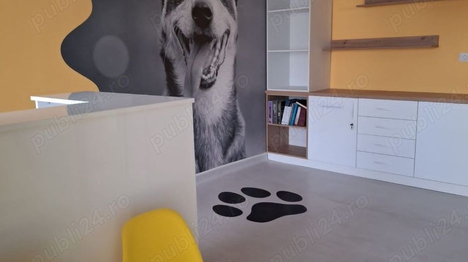 BRASADAS vinde casa 4 cam Sararie - Copou. - Poză 5