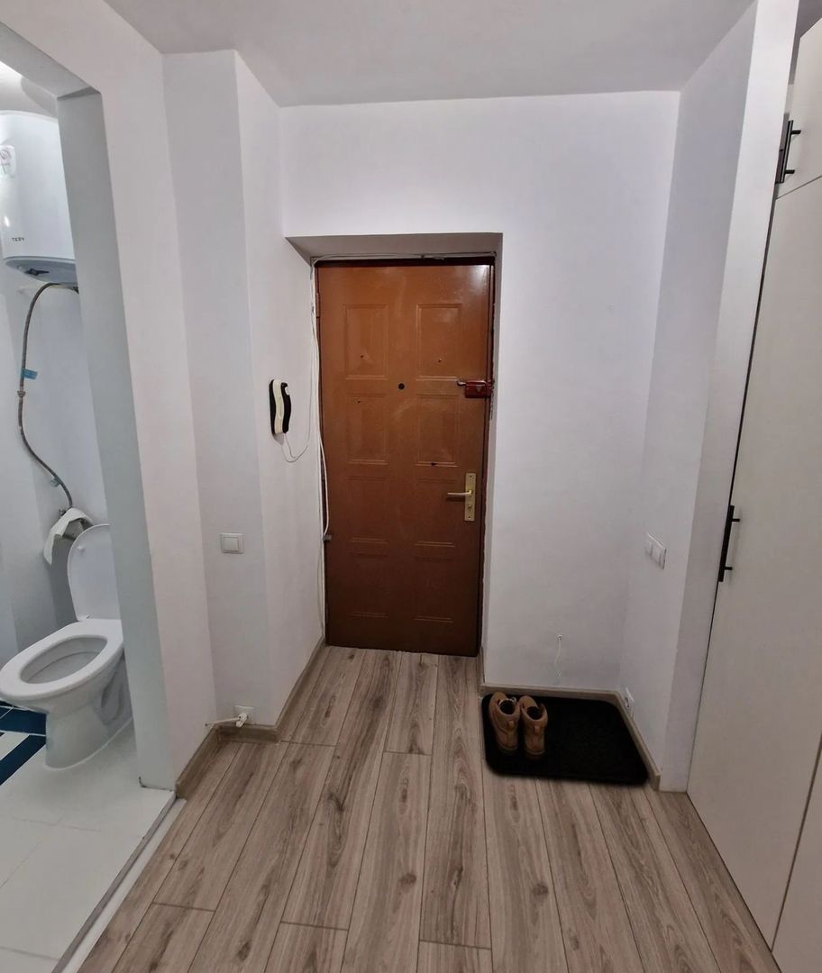 STUDIO TEIUL DOAMNEI, BOILER, BUCATARIE INCHISA, MOBILAT/UTILAT - Poză 6