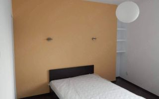Apartament 2 Camere | 55 Mp | PET FRIENDLY | Zorilor Recuperare UTCN - Poză 2