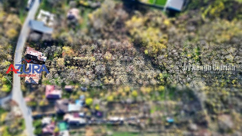 Proprietate deosebită în orașul Ștefănești, intrare pe strada Izvorani - Poză 14