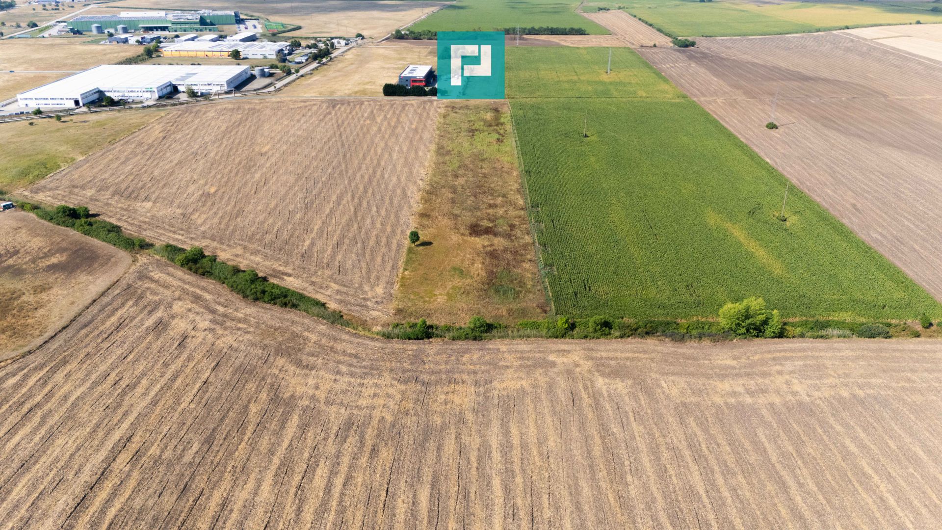 Oportunitate! Teren 4.345 mp – Şagului - Poză 2