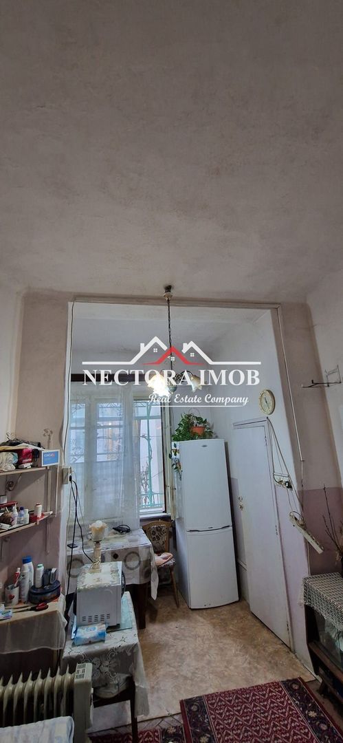 NECTORA IMOB-Apartament Ultracentral cu 2 camere, Piata Ferdinand,55mp - Poză 4