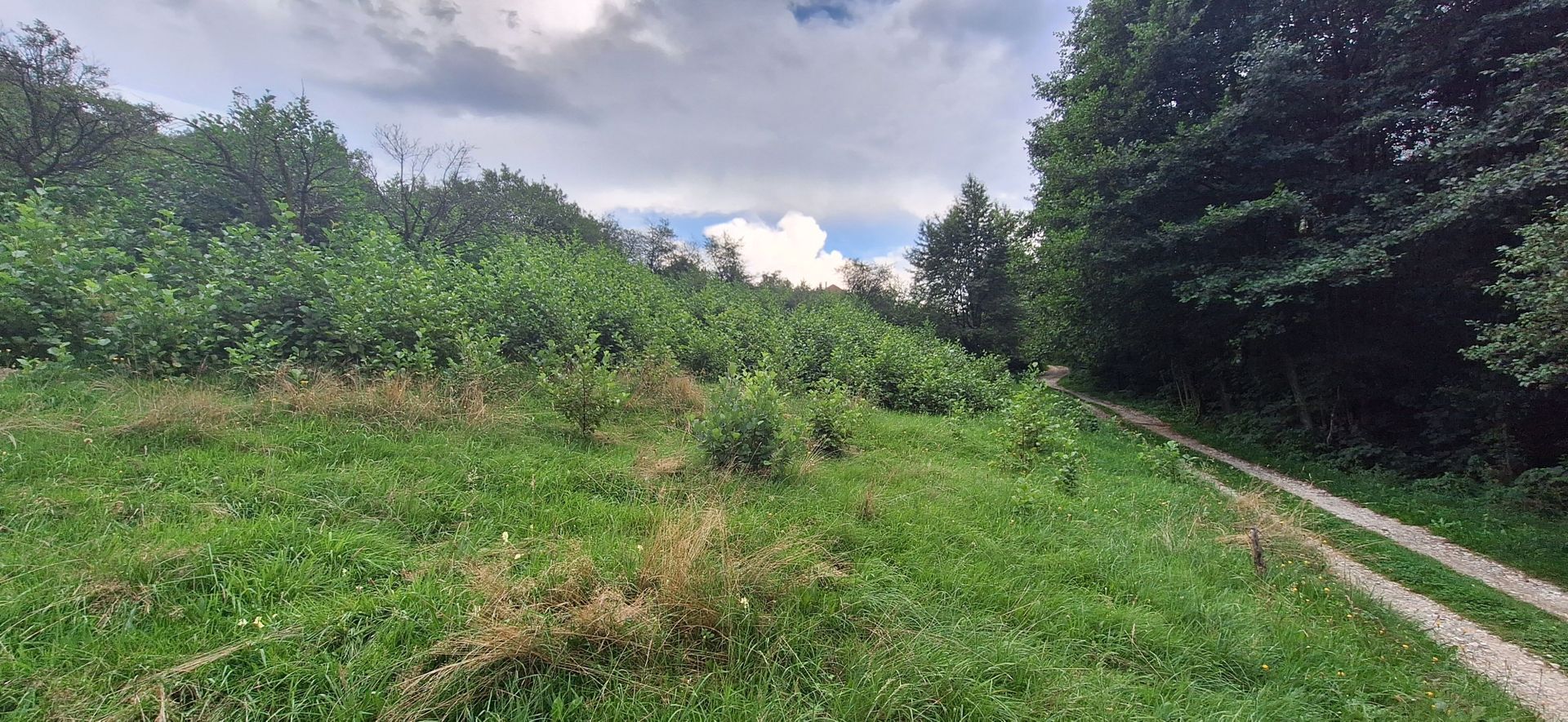 Bran-Predelut doua parcele de 2000+3000mp pret 25 euro/mp - Poză 11