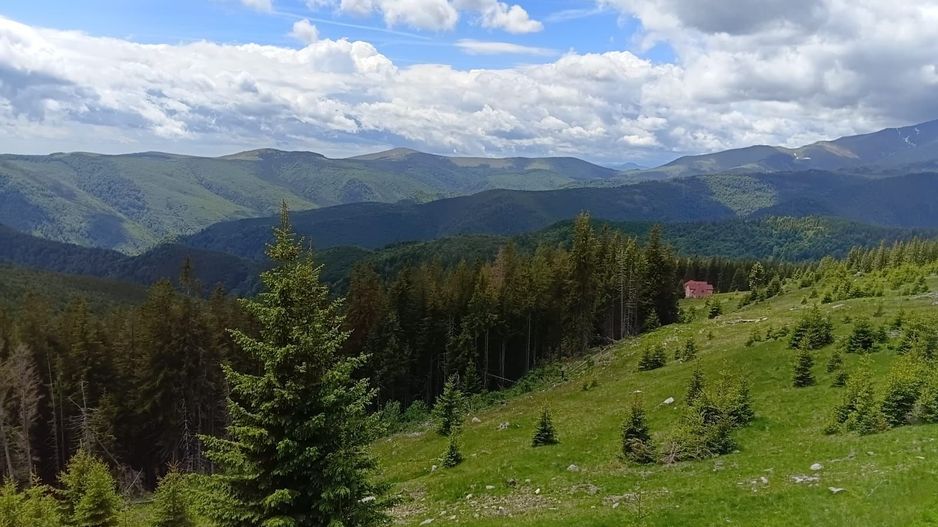 Cabană P+M de vânzare în Rânca - Poză 26
