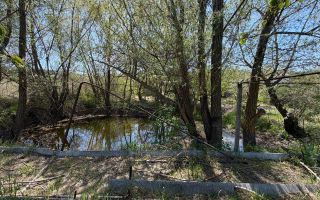 Lot Pomicol Truseni I.P. Alfa-Agro - Poză 6