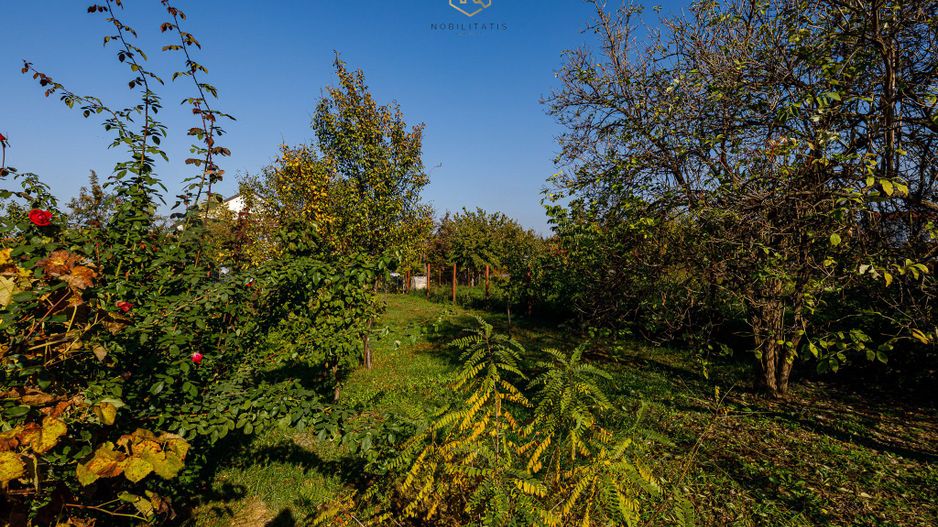 Pensiunea Bella Arad - O afacere profitabilă, la cheie! - Poză 48