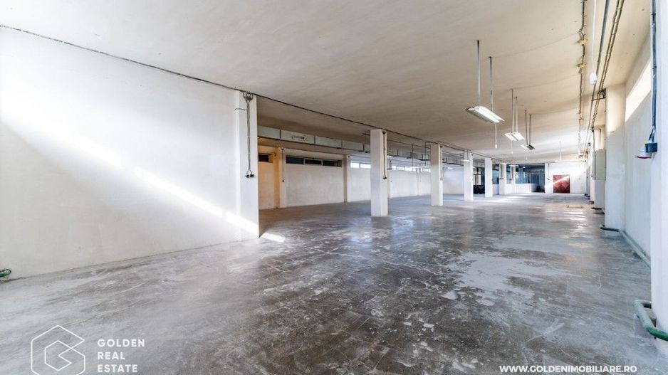 Hala pentu productie In zona Micalaca - Poză 25