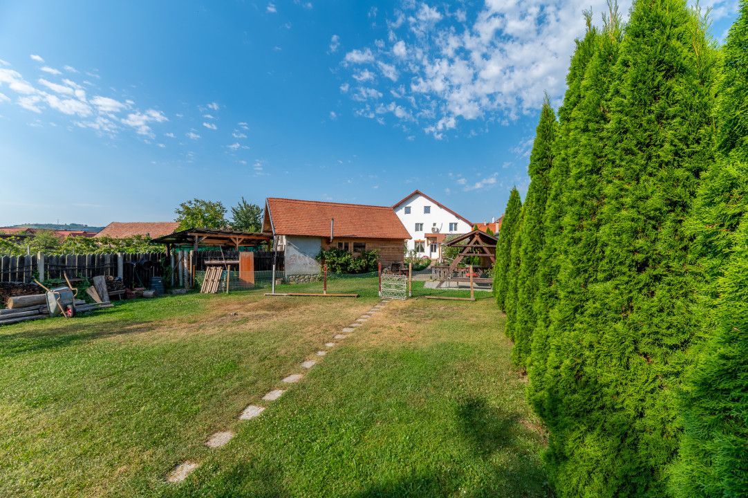 Casa + Pensiune deosebita - Orlat, Sibiu - Poză 62