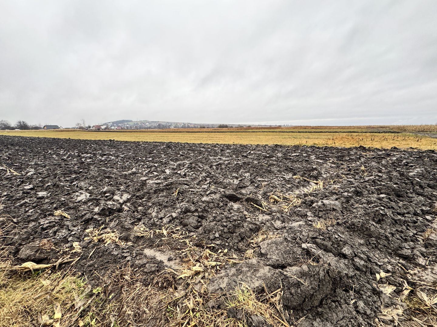 Teren 24 Ari | Horodnic de Sus | Front 15 m - Poză 4