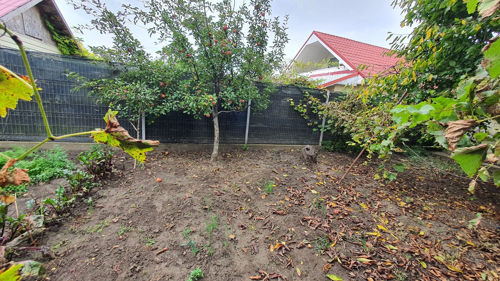 CASĂ INDIVIDUALĂ + teren 500 mp, zona CENTRALĂ; - Poză 6