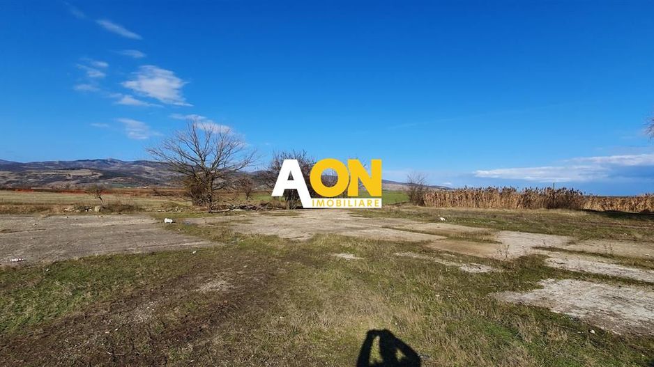 Teren industrial 44.200 mp, Vințu de Jos, Oportunitate de investitie - Poză 4