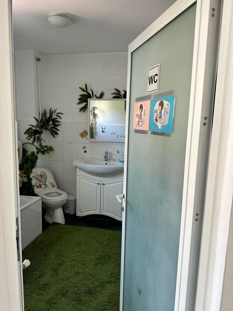 SPATIU COMERCIAL DOMENII, LOC PARCARE, CENTRALA, MOBILAT/UTILAT, CURTE - Poză 3