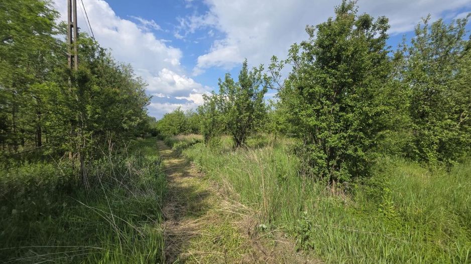 De Vânzare Casă Valea Vinului - Poză 14