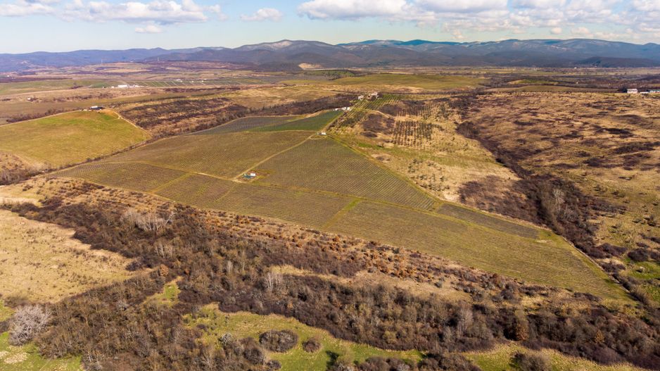 Plantație Bio de mure și zmeură  26,4 ha în Lipova - Poză 9